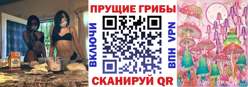 Галлюциногенные грибы Psilocybine cubensis  блэк спрут рабочий сайт  Дегтярск 